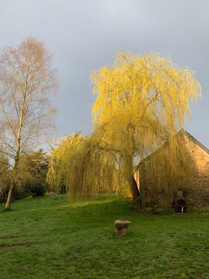 Domaine De La Blanche Hermine Plounerin Extérieur photo