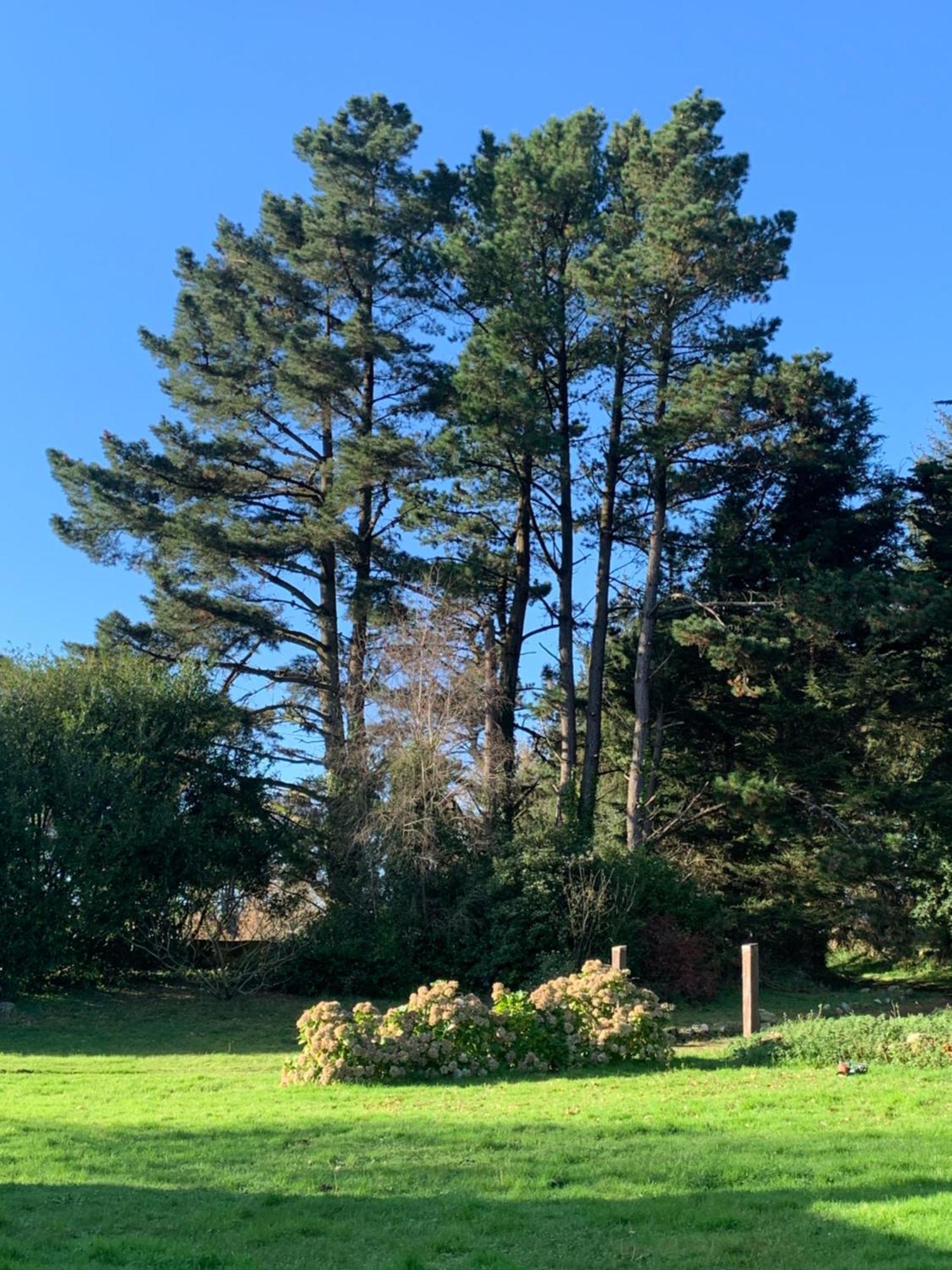 Domaine De La Blanche Hermine Plounerin Extérieur photo