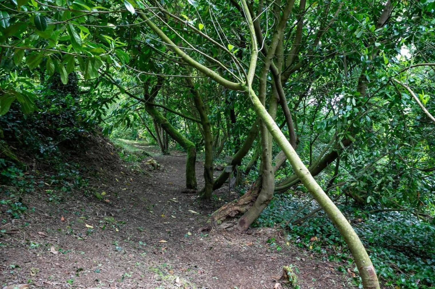 Domaine De La Blanche Hermine Plounerin Extérieur photo